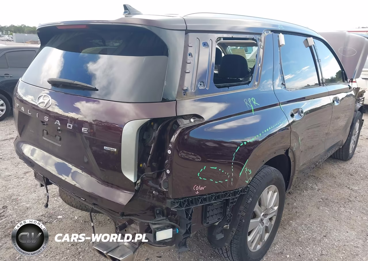 2024 Hyundai Palisade Sel VIN:KM8R2DGE9RU657407 - 6