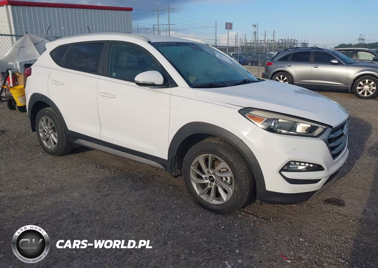 2017 Hyundai Tucson Eco VIN:KM8J33A27HU310174 - 1