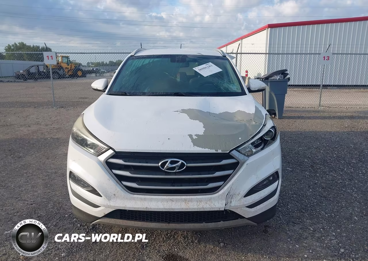2017 Hyundai Tucson Eco VIN:KM8J33A27HU310174 - 12