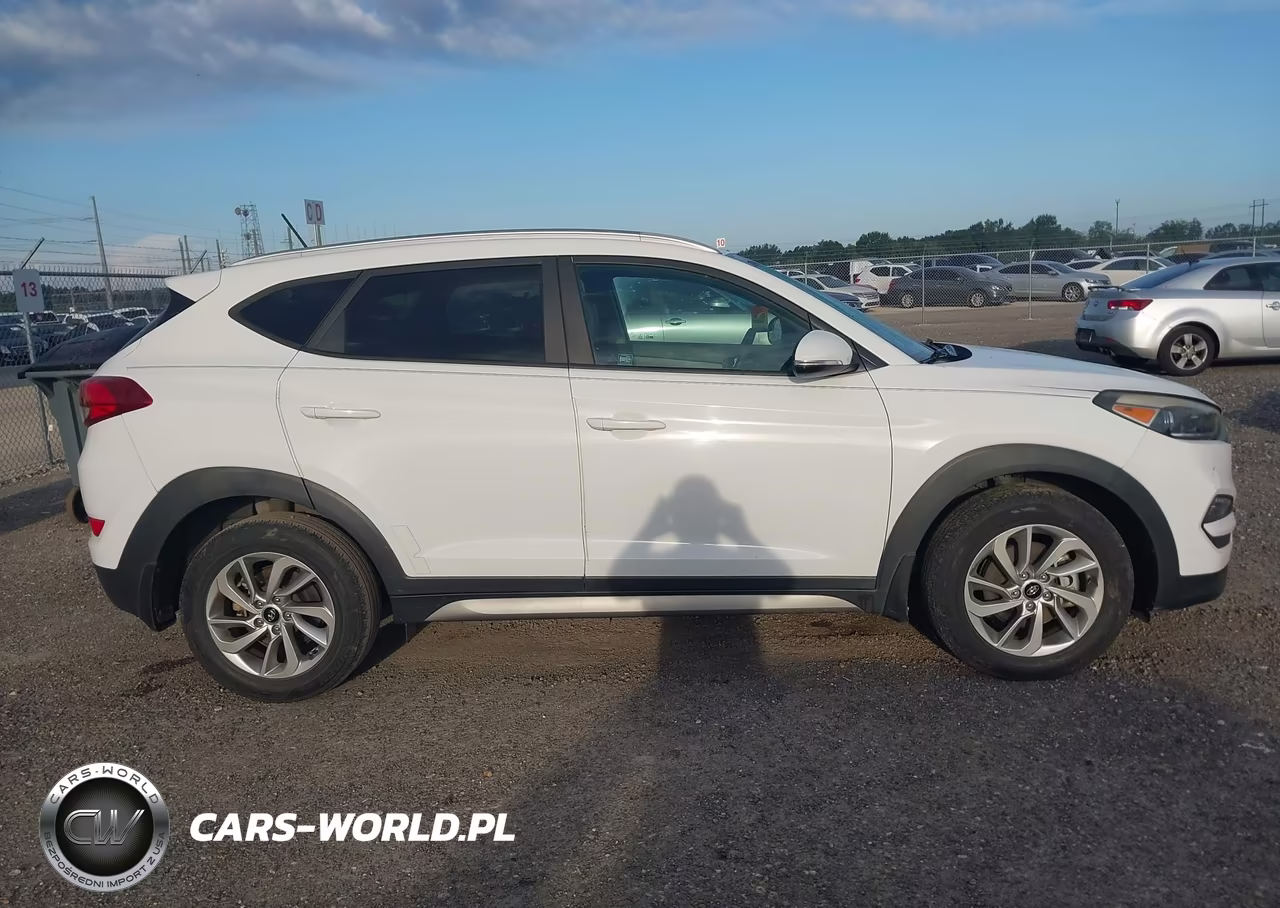 2017 Hyundai Tucson Eco VIN:KM8J33A27HU310174 - 13