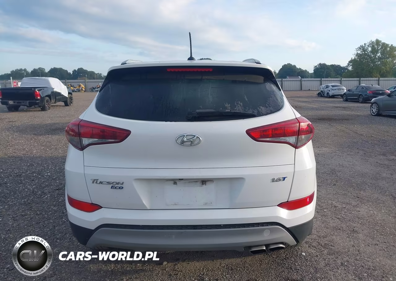2017 Hyundai Tucson Eco VIN:KM8J33A27HU310174 - 16