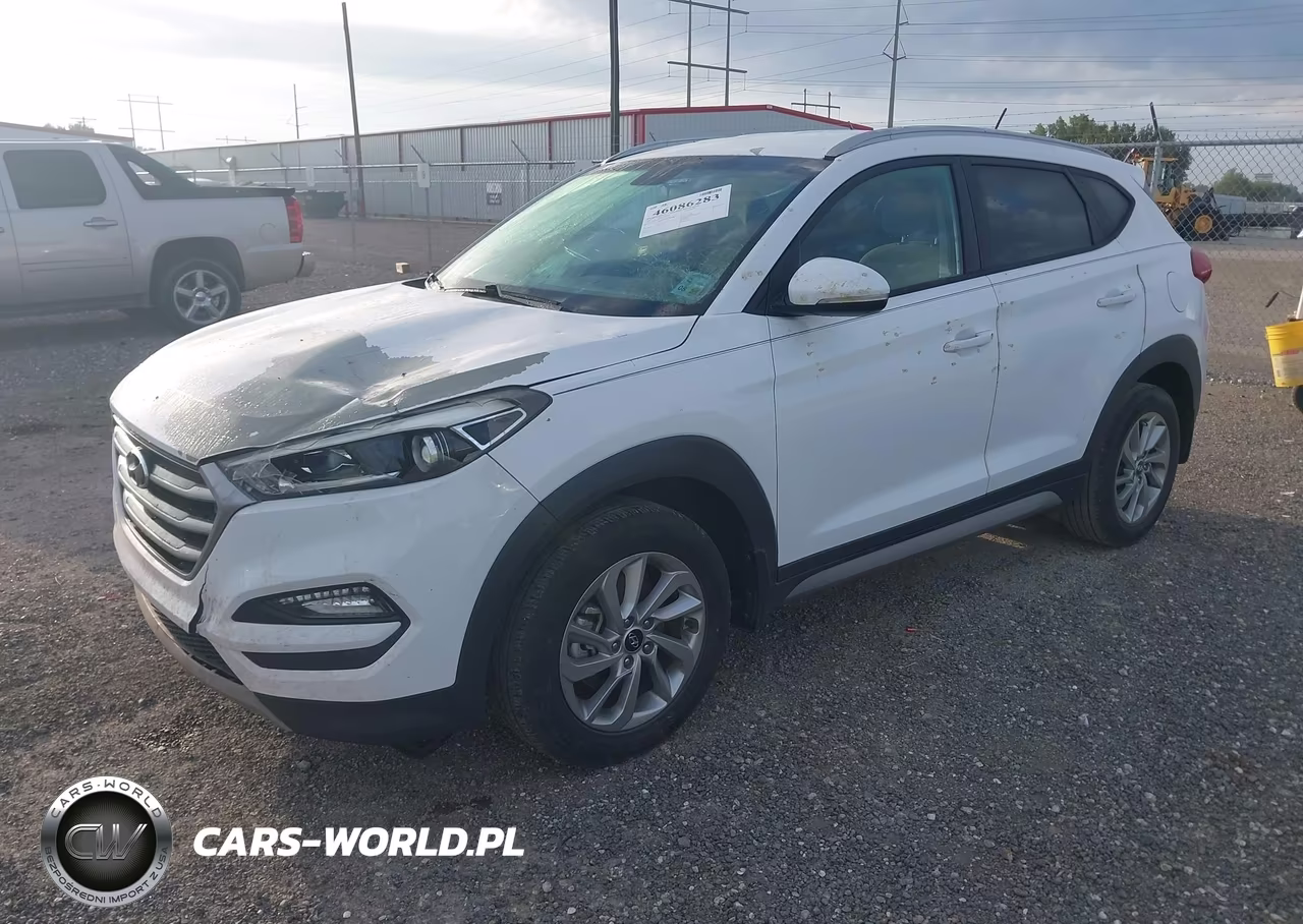2017 Hyundai Tucson Eco VIN:KM8J33A27HU310174 - 2