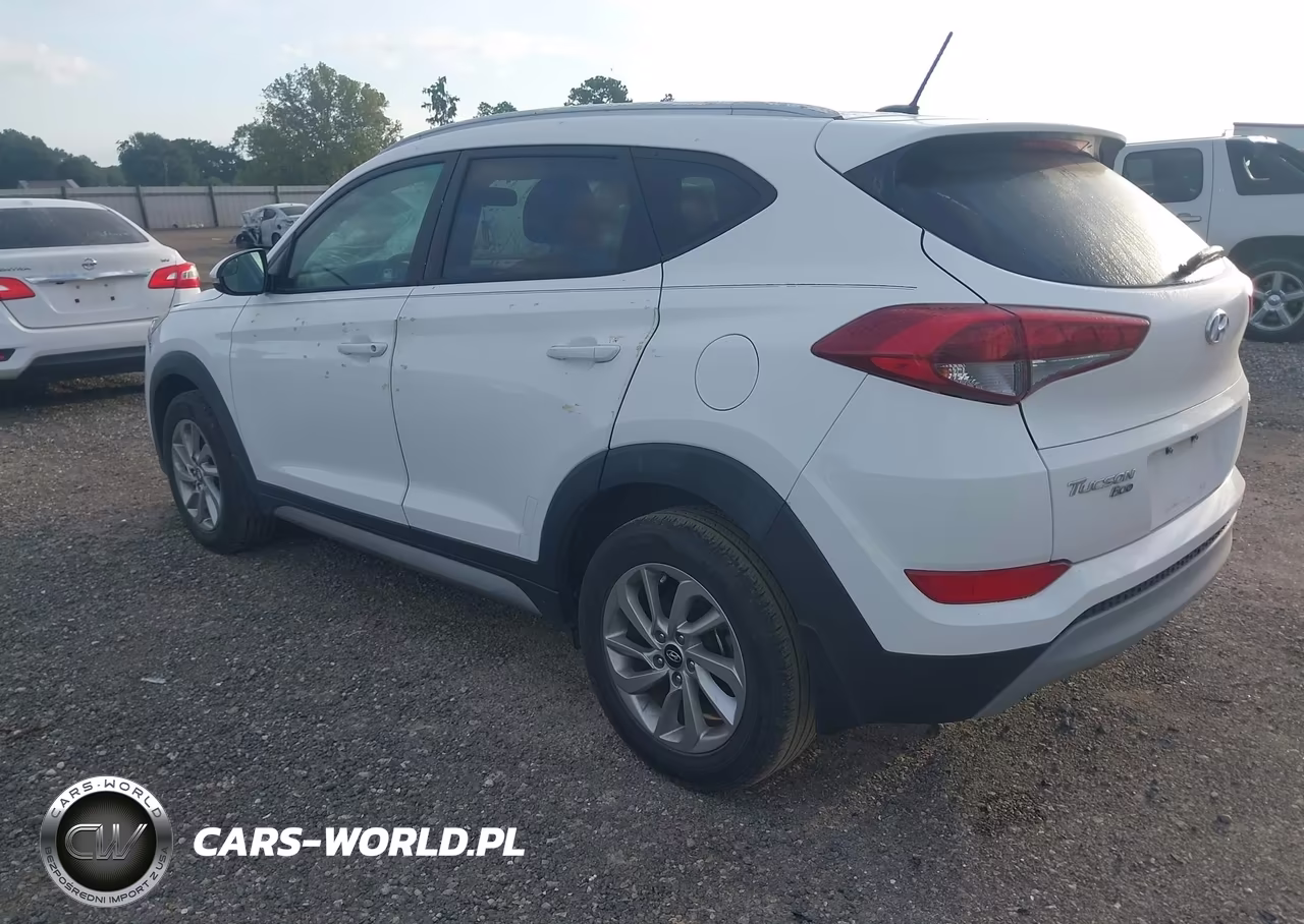2017 Hyundai Tucson Eco VIN:KM8J33A27HU310174 - 3