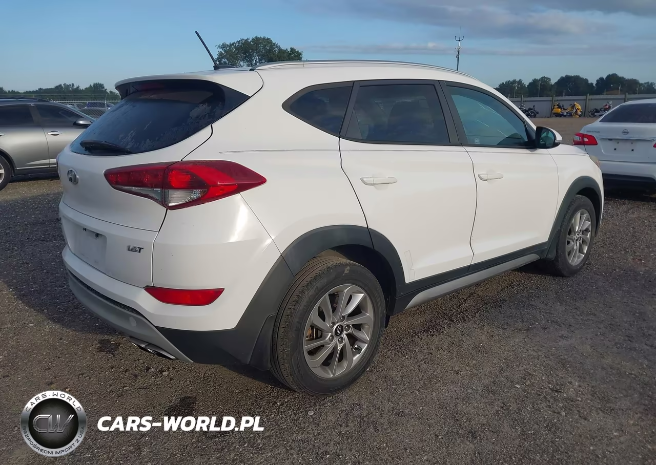 2017 Hyundai Tucson Eco VIN:KM8J33A27HU310174 - 4