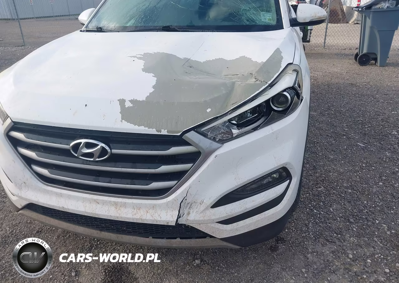 2017 Hyundai Tucson Eco VIN:KM8J33A27HU310174 - 6