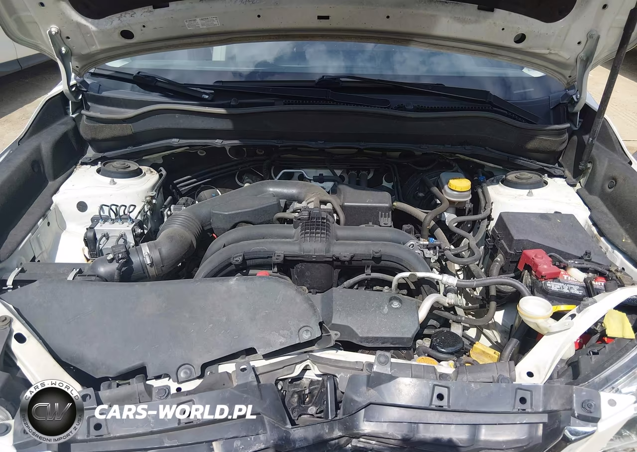 2017 Subaru Forester 2.5I Premium VIN:JF2SJAEC0HH413579 - 10