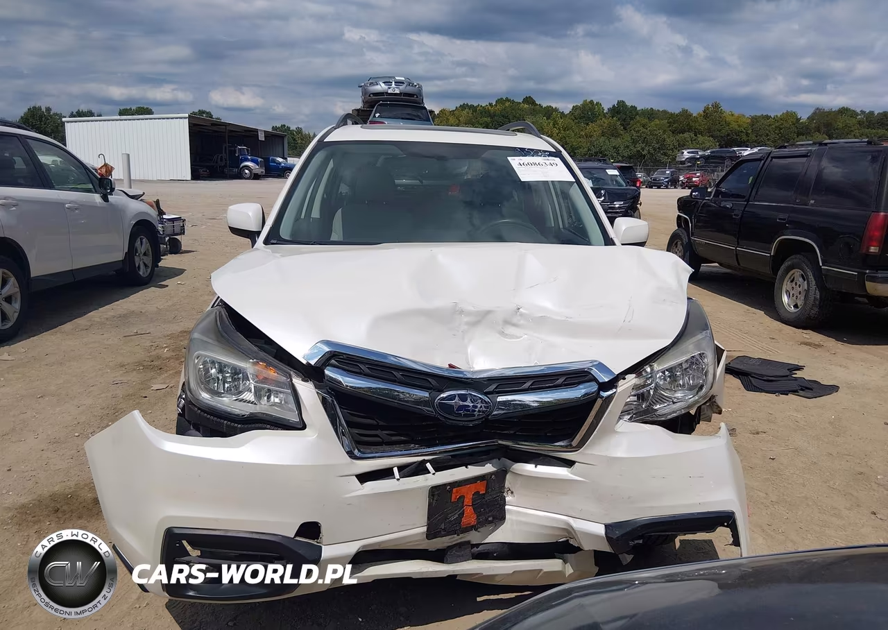2017 Subaru Forester 2.5I Premium VIN:JF2SJAEC0HH413579 - 12