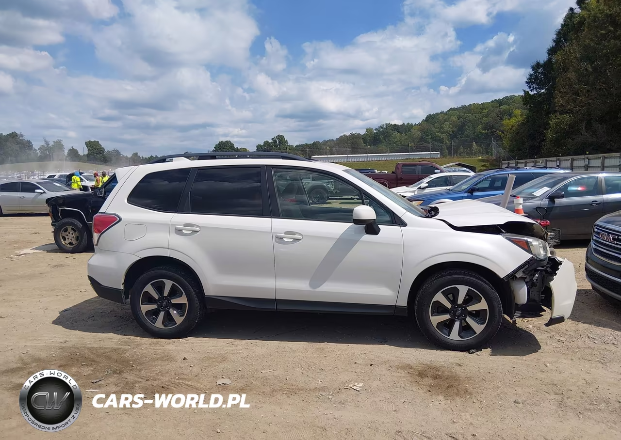 2017 Subaru Forester 2.5I Premium VIN:JF2SJAEC0HH413579 - 13