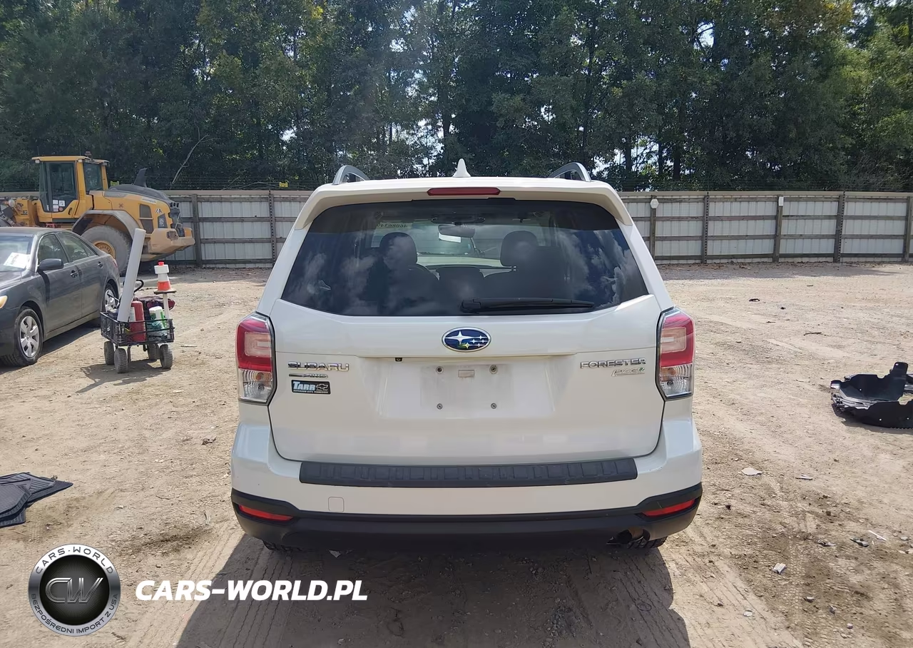 2017 Subaru Forester 2.5I Premium VIN:JF2SJAEC0HH413579 - 16