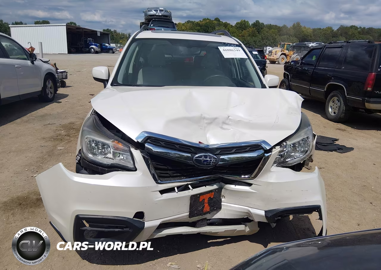 2017 Subaru Forester 2.5I Premium VIN:JF2SJAEC0HH413579 - 6
