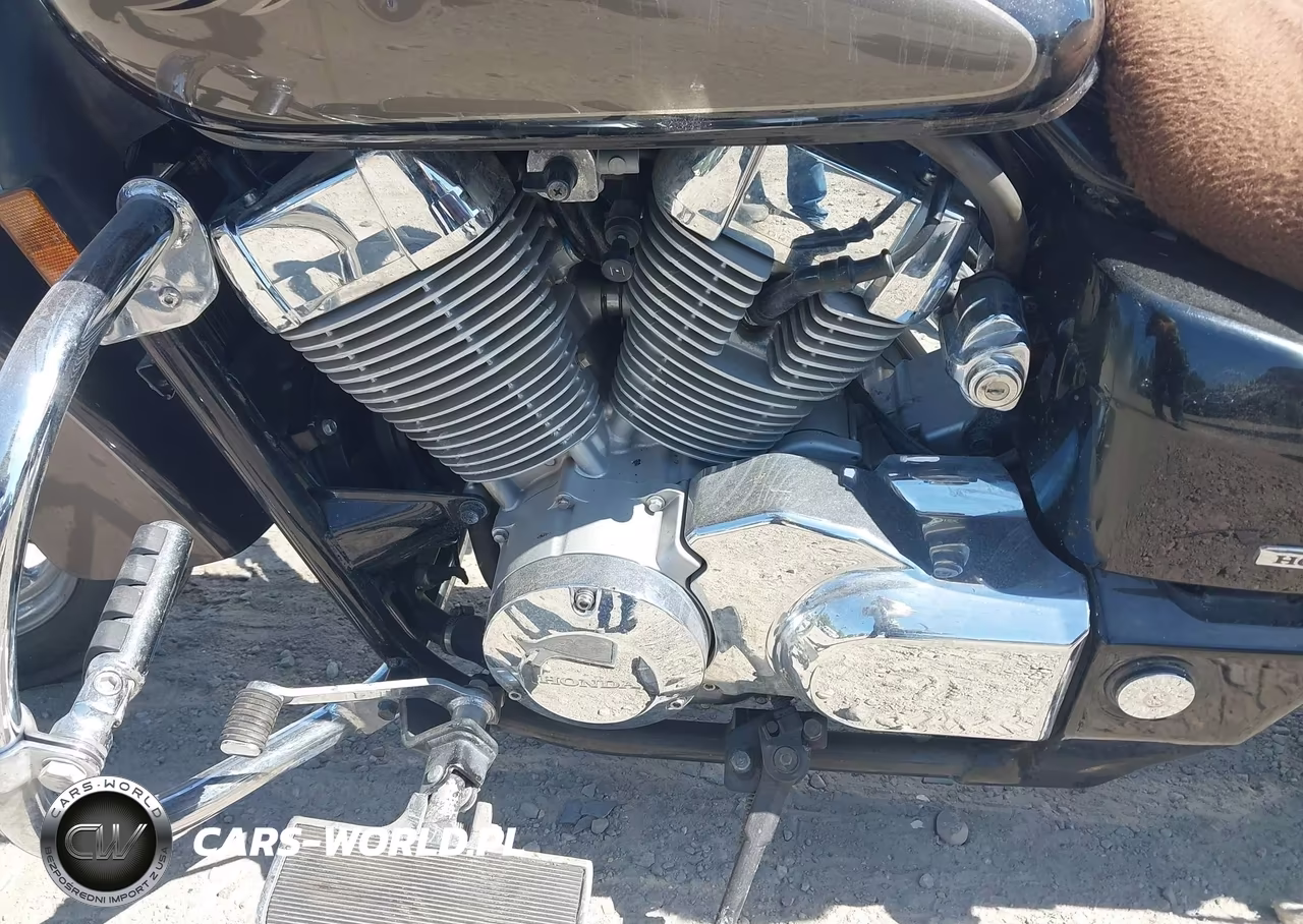 2007 Honda Vt750 VIN:JH2RC50487M300359 - 9