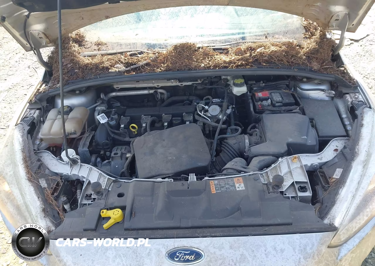 2017 Ford Focus Se VIN:1FADP3K27HL208972 - 10