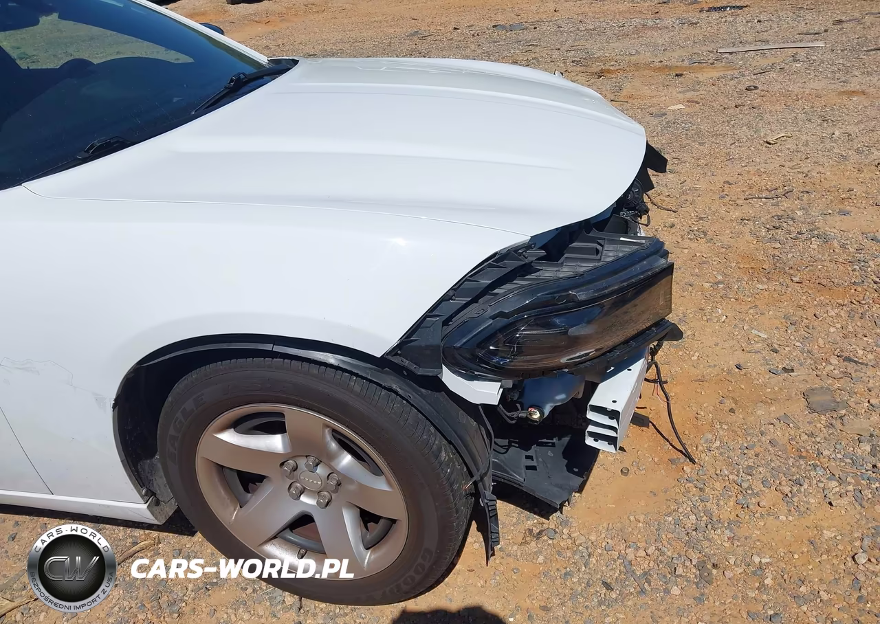 2023 Dodge Charger Police Rwd VIN:2C3CDXAT1PH535030 - 18