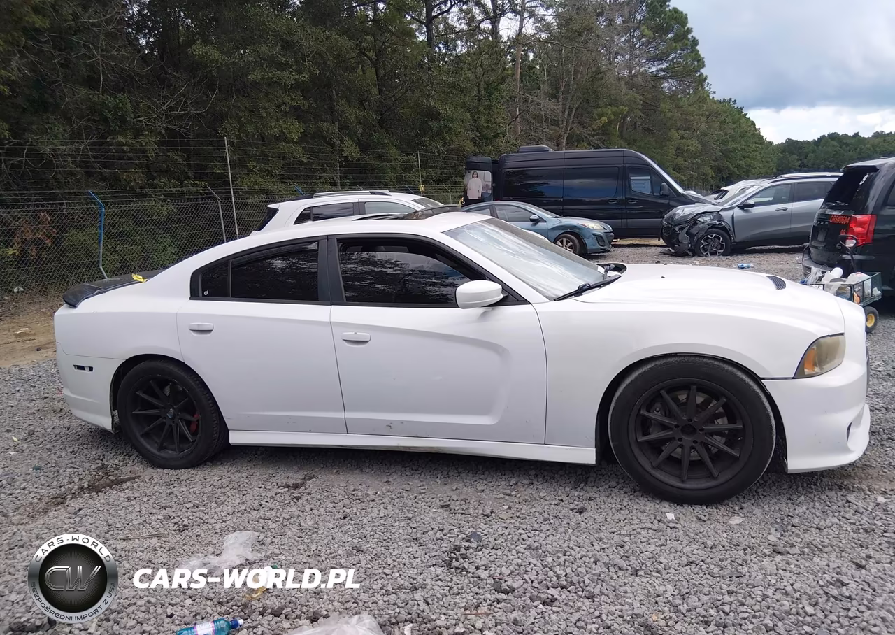 2013 Dodge Charger Srt8 VIN:2C3CDXEJXDH529523 - 13