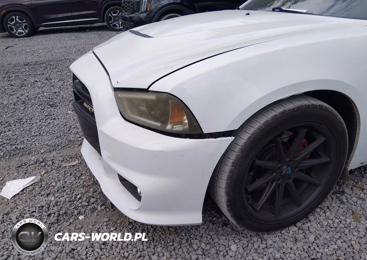 2013 Dodge Charger Srt8 VIN:2C3CDXEJXDH529523 - 17
