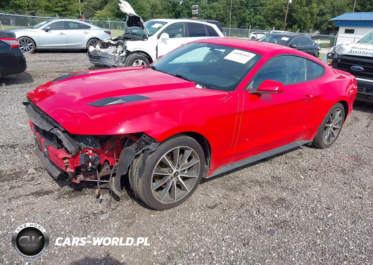 2017 Ford Mustang VIN:1FA6P8THXH5330366 - 2