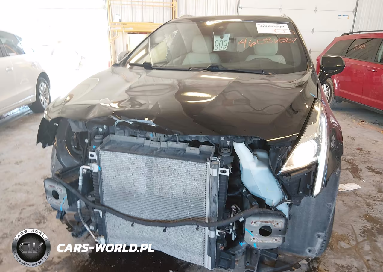 2019 Cadillac Xt5 Luxury VIN:1GYKNDRS3KZ103105 - 6