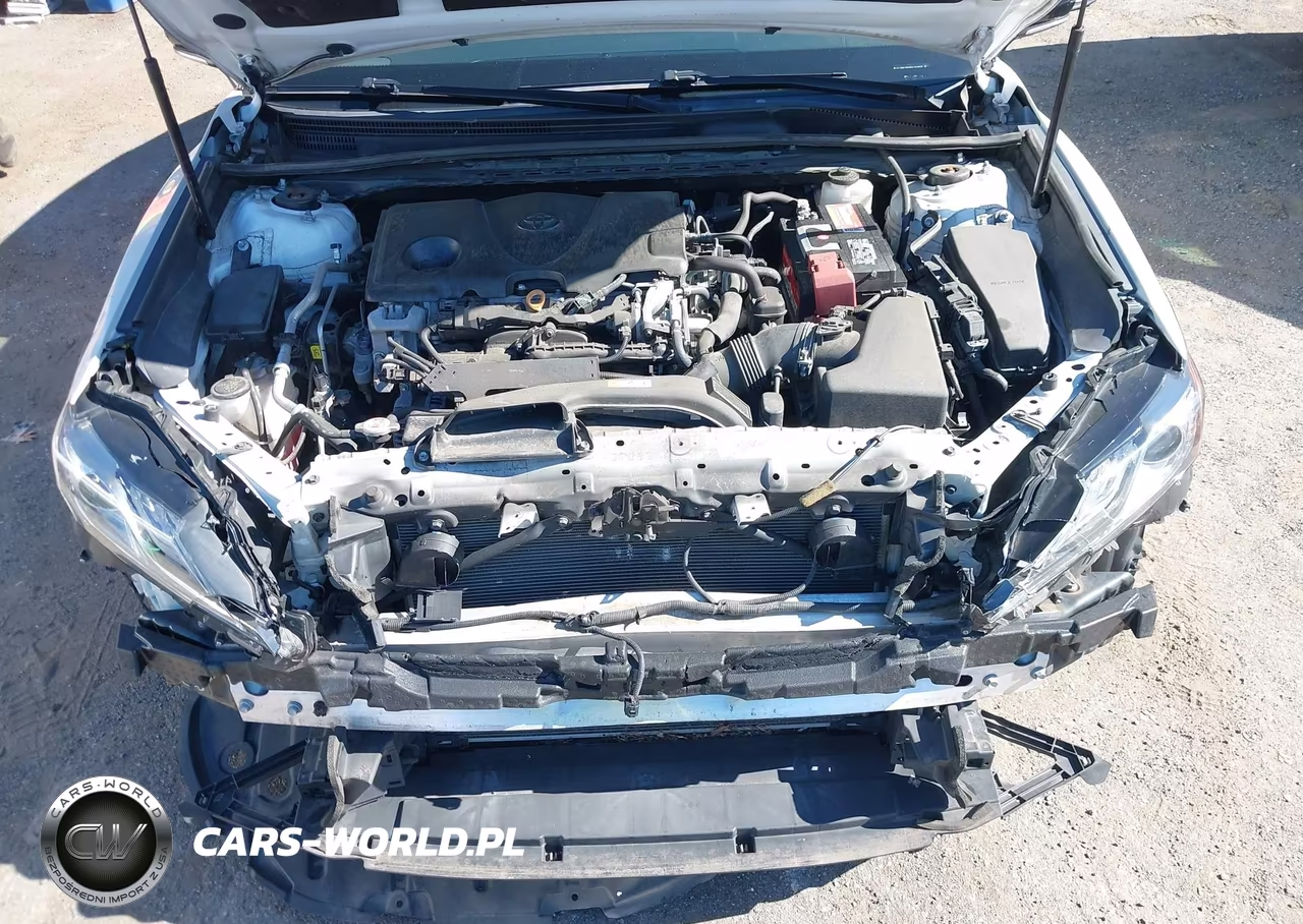 2019 Toyota Camry Xse VIN:4T1B61HK8KU183609 - 10