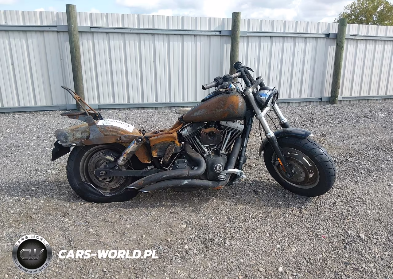 2009 Harley-Davidson Fxdf VIN:1HD1GY4169K322983 - 11