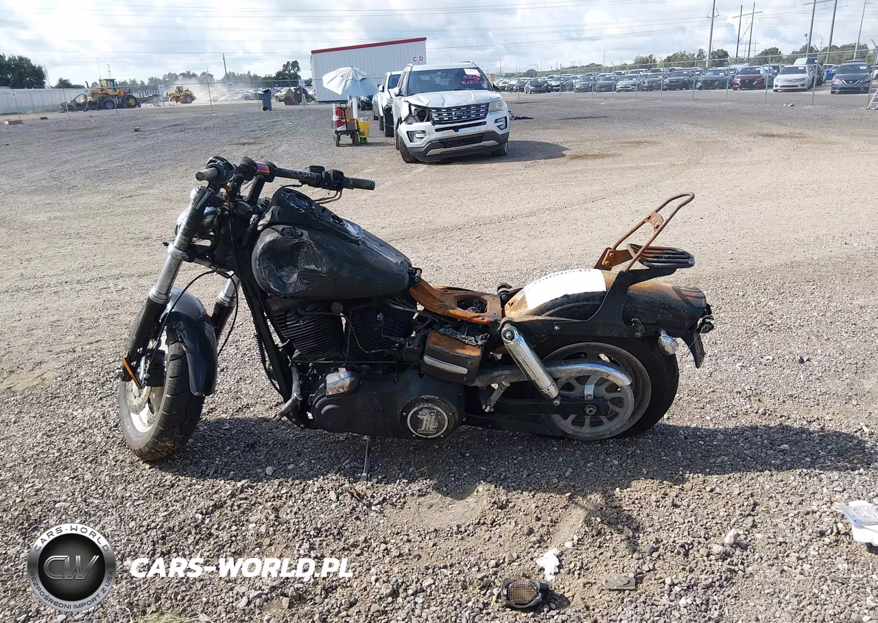 2009 Harley-Davidson Fxdf VIN:1HD1GY4169K322983 - 12