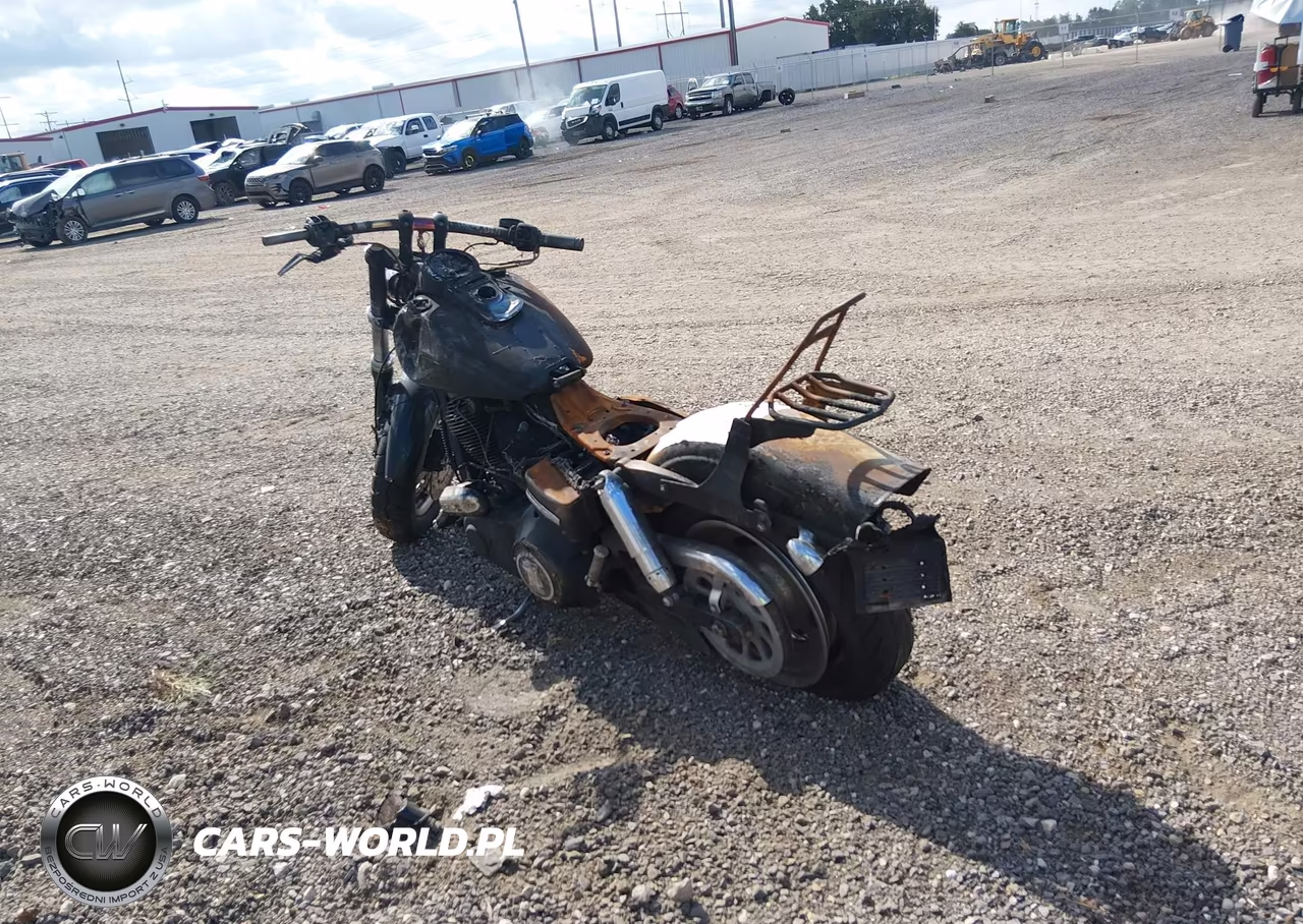 2009 Harley-Davidson Fxdf VIN:1HD1GY4169K322983 - 3