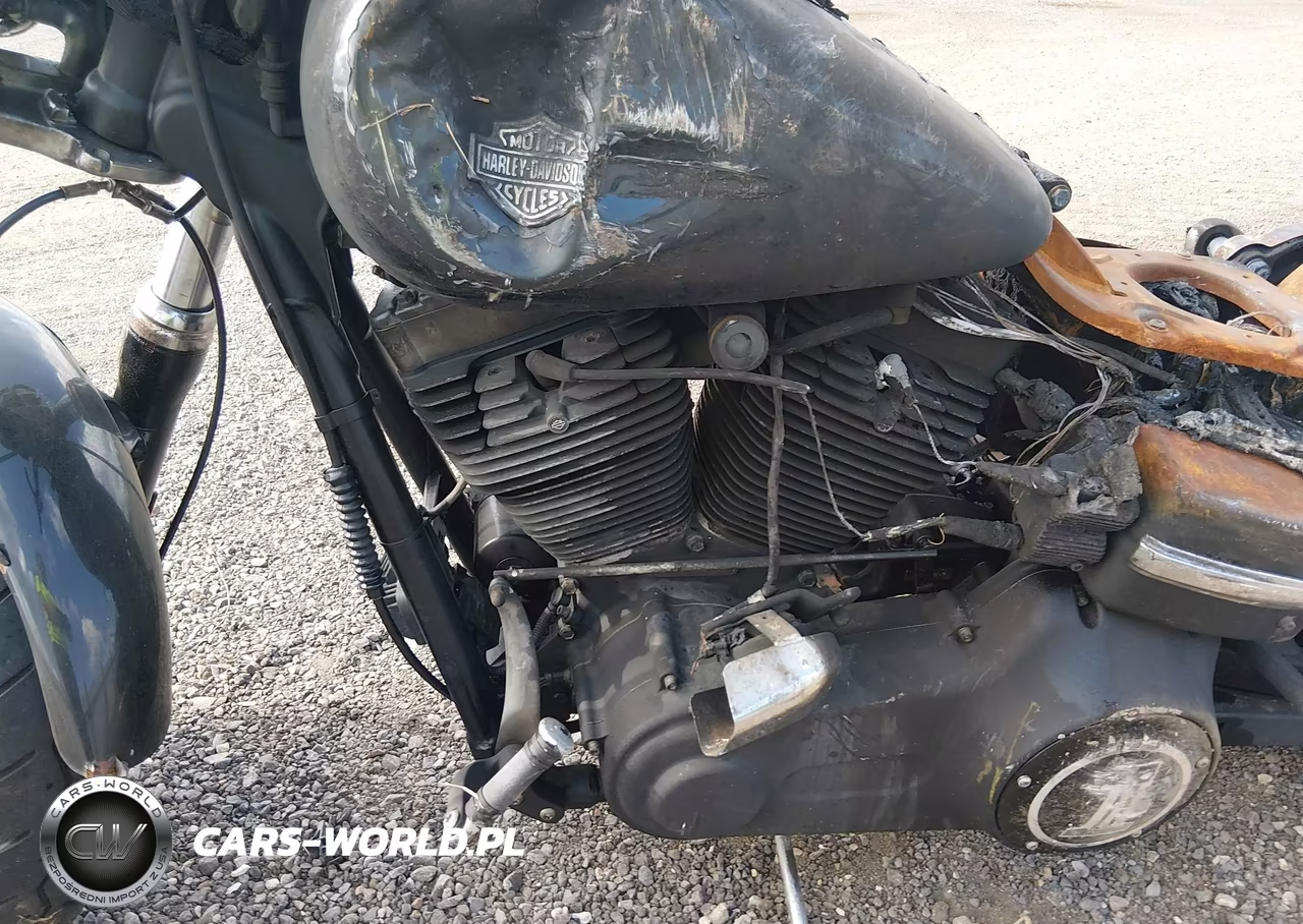 2009 Harley-Davidson Fxdf VIN:1HD1GY4169K322983 - 9