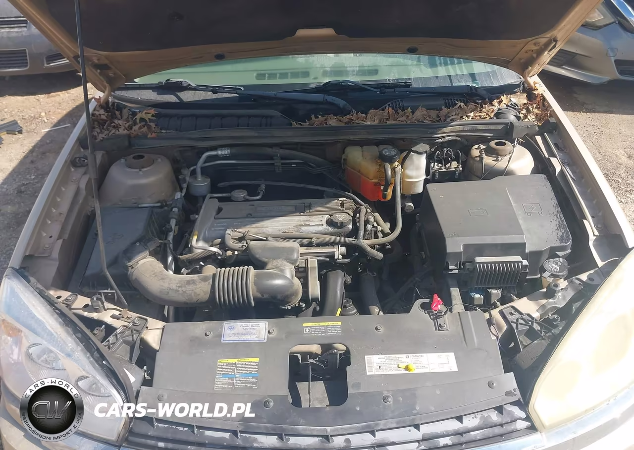 2004 Chevrolet Malibu VIN:1G1ZS52F44F181664 - 10