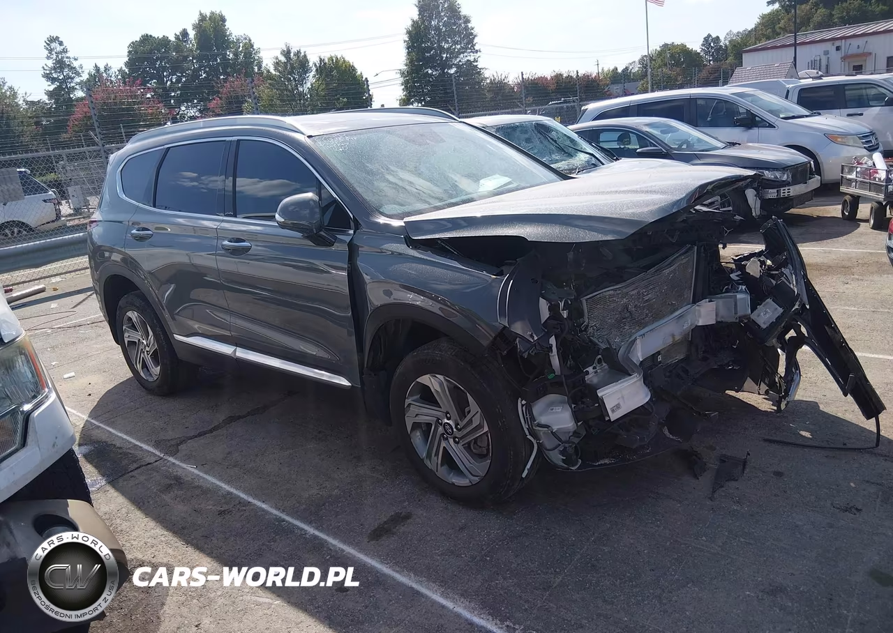 2023 Hyundai Santa Fe Sel VIN:5NMS3DAJ1PH552048 - 1