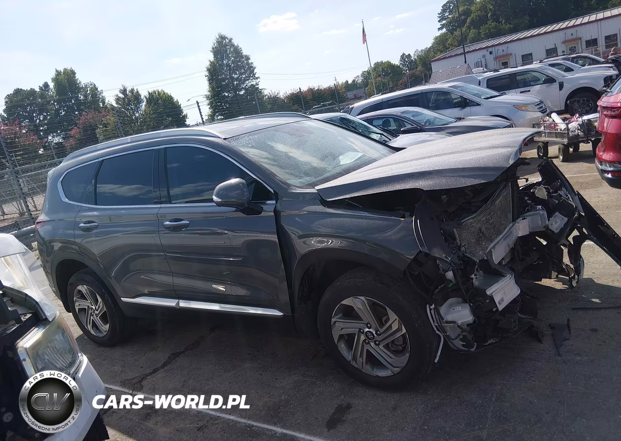 2023 Hyundai Santa Fe Sel VIN:5NMS3DAJ1PH552048 - 13