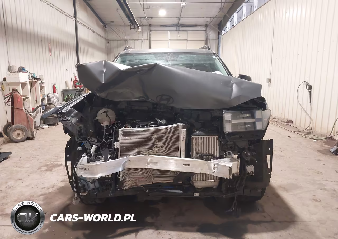 2024 Hyundai Santa Fe Xrt VIN:5NMP3DGL3RH059893 - 13