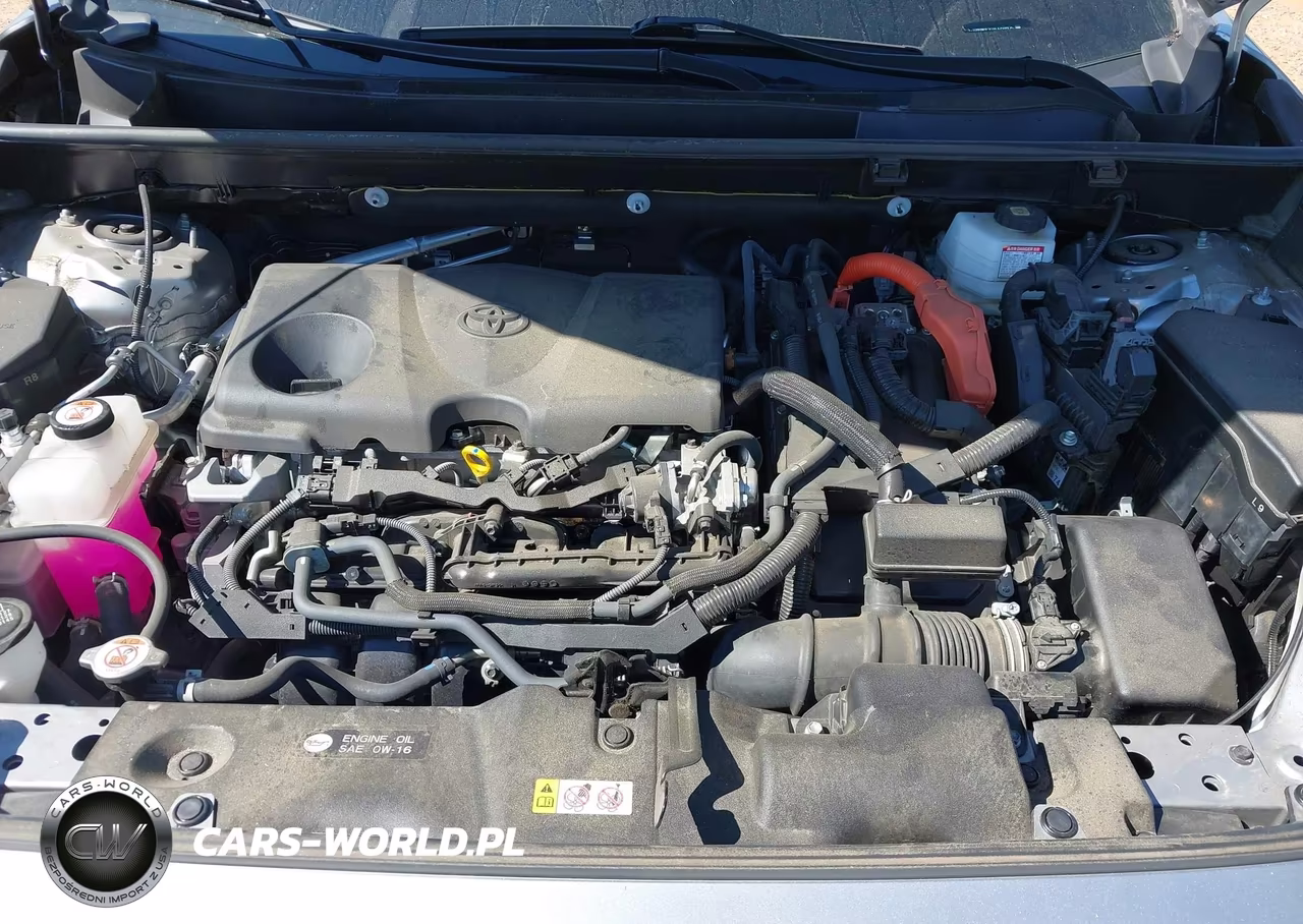 2024 Toyota Rav4 Hybrid Xle VIN:JTMRWRFV1RJ059806 - 10