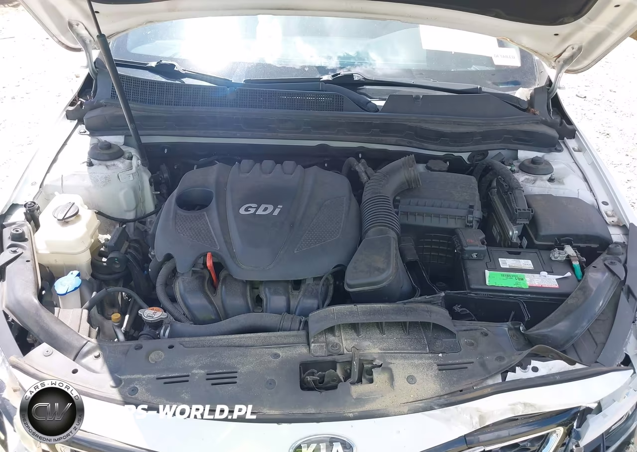 2015 Kia Optima Ex VIN:5XXGN4A71FG494833 - 10