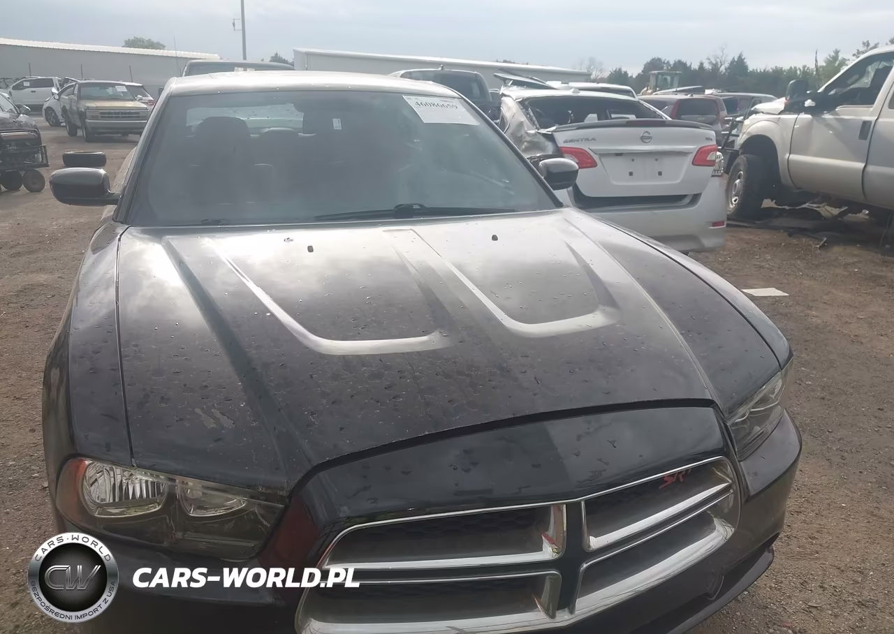 2014 Dodge Charger R-T VIN:2C3CDXCT7EH137962 - 12
