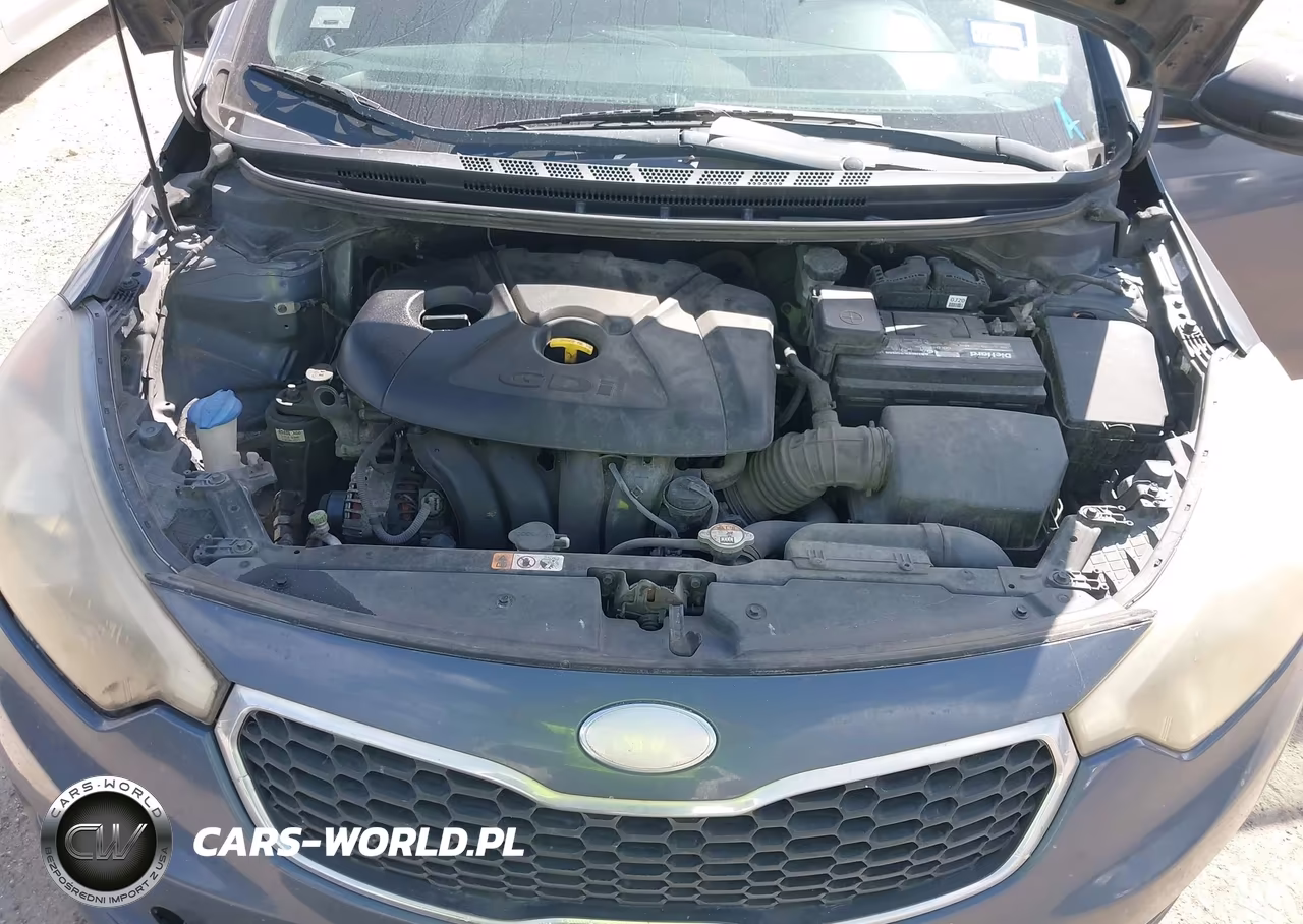 2014 Kia Forte Ex VIN:KNAFX4A82E5046230 - 10