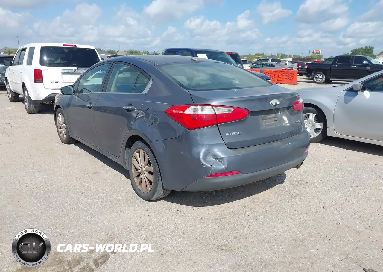 2014 Kia Forte Ex VIN:KNAFX4A82E5046230 - 3