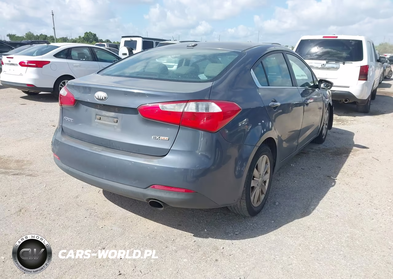 2014 Kia Forte Ex VIN:KNAFX4A82E5046230 - 4