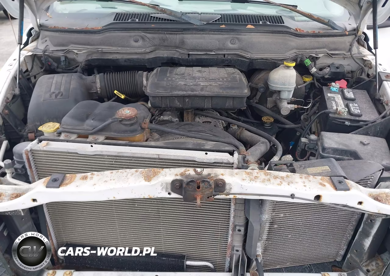 2002 Dodge Ram 1500 St VIN:1D7HA16K42J245059 - 10