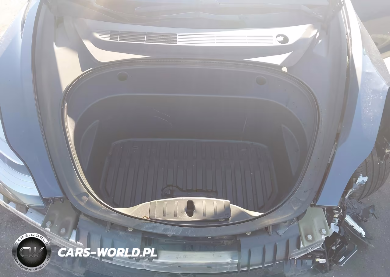 2020 Tesla Model 3 Standard Range Plus Rear-Wheel Drive-Standard Range Rear-Wheel Drive VIN:5YJ3E1EA8LF785802 - 10
