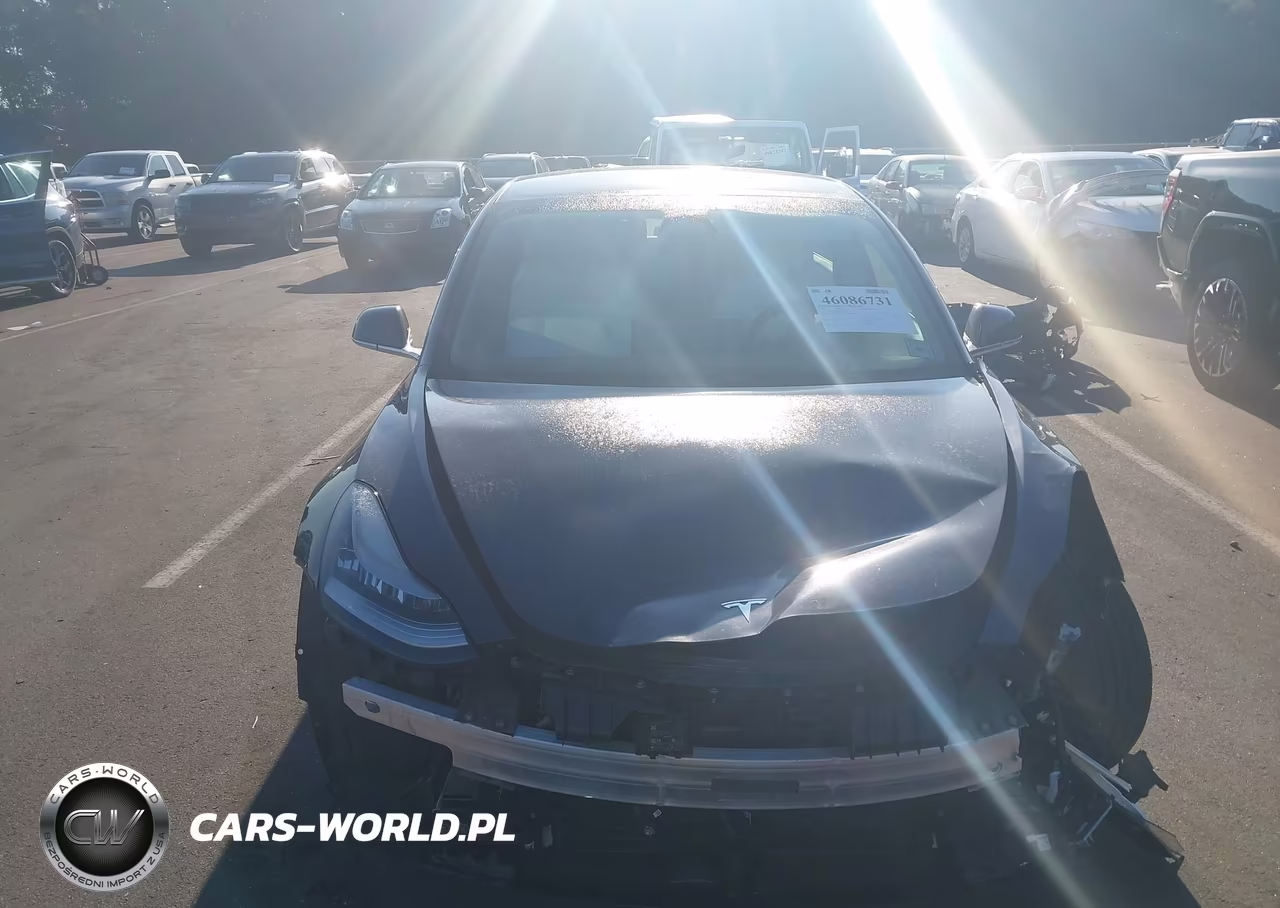 2020 Tesla Model 3 Standard Range Plus Rear-Wheel Drive-Standard Range Rear-Wheel Drive VIN:5YJ3E1EA8LF785802 - 13