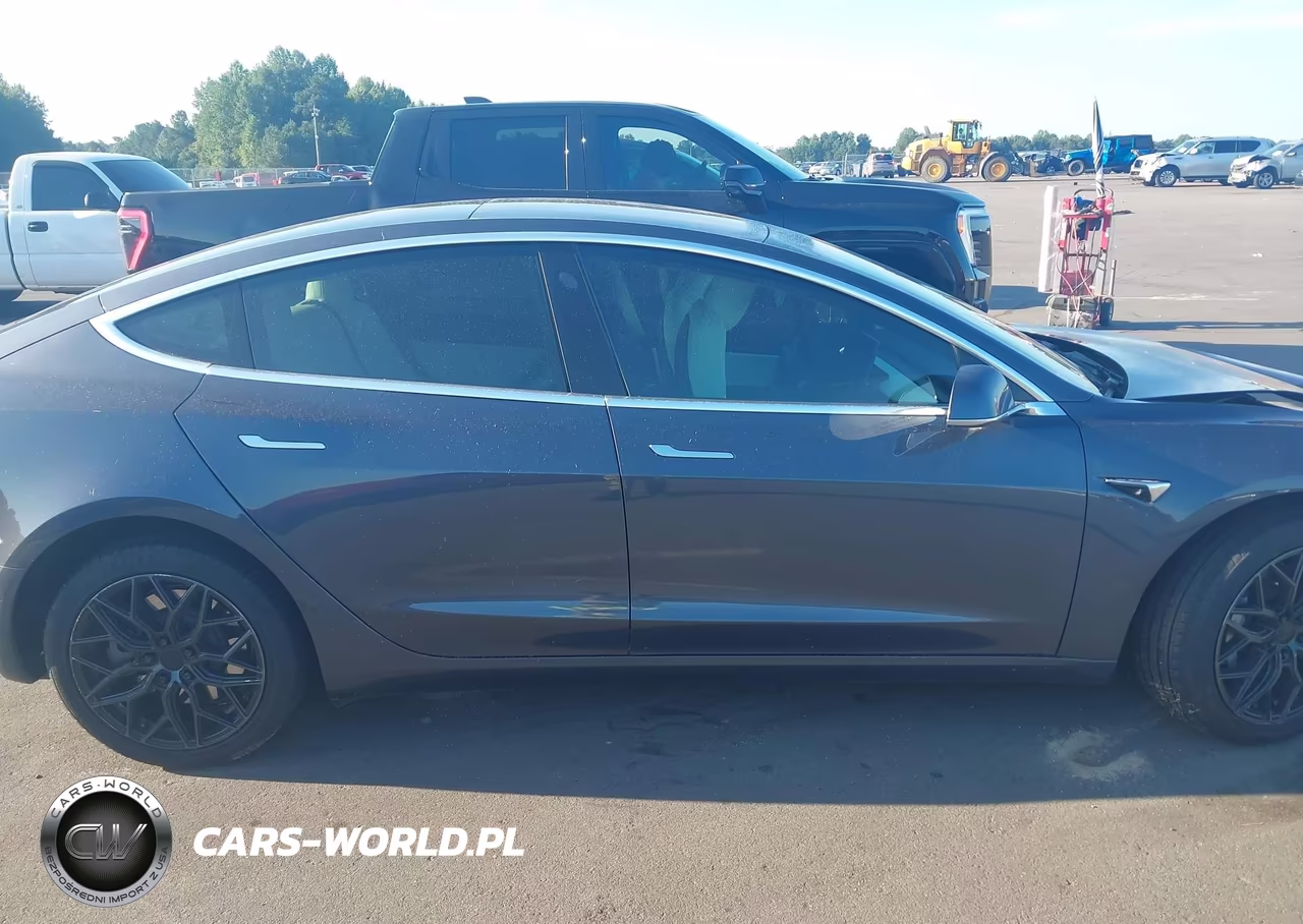 2020 Tesla Model 3 Standard Range Plus Rear-Wheel Drive-Standard Range Rear-Wheel Drive VIN:5YJ3E1EA8LF785802 - 14