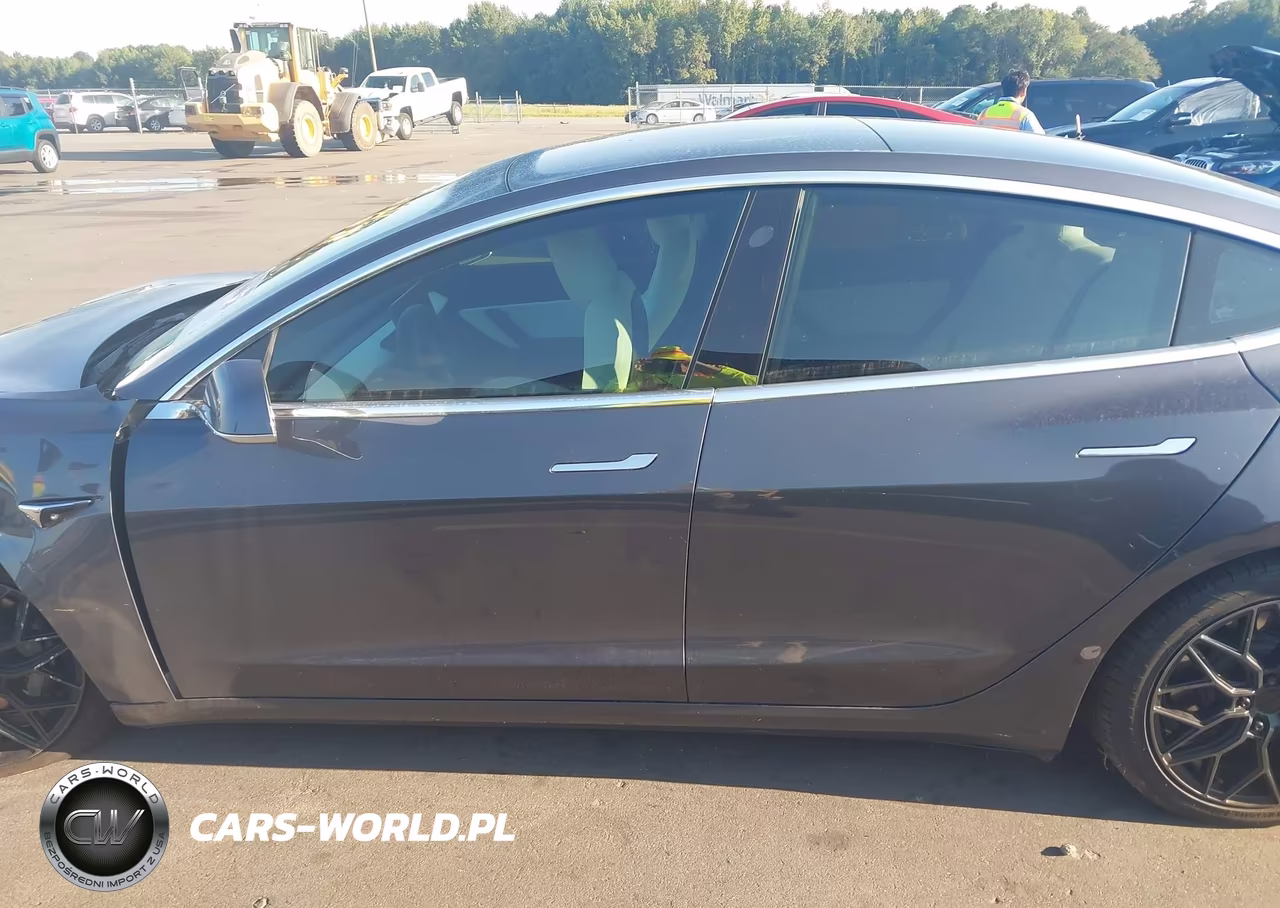 2020 Tesla Model 3 Standard Range Plus Rear-Wheel Drive-Standard Range Rear-Wheel Drive VIN:5YJ3E1EA8LF785802 - 15