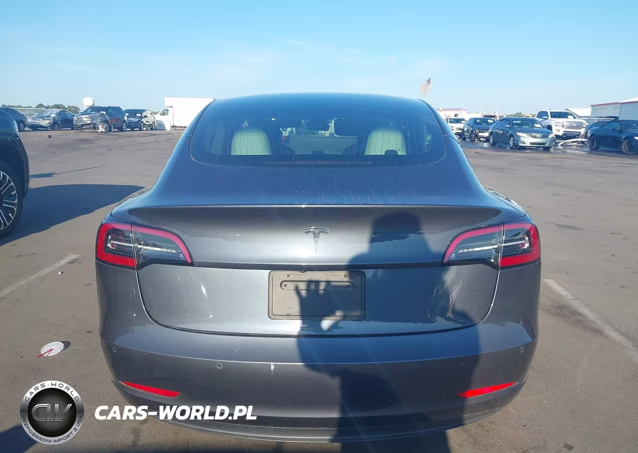 2020 Tesla Model 3 Standard Range Plus Rear-Wheel Drive-Standard Range Rear-Wheel Drive VIN:5YJ3E1EA8LF785802 - 17