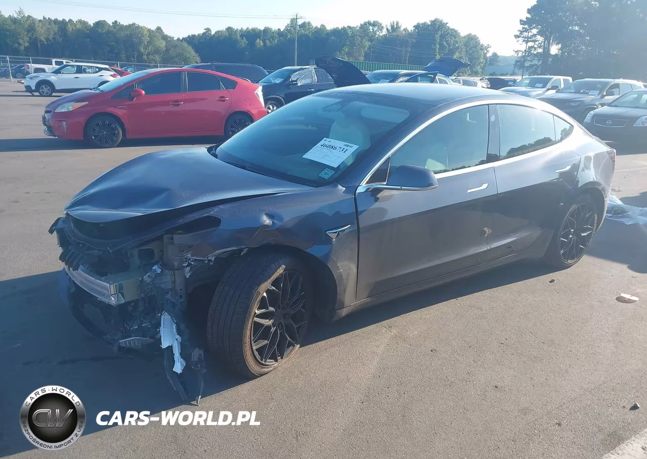 2020 Tesla Model 3 Standard Range Plus Rear-Wheel Drive-Standard Range Rear-Wheel Drive VIN:5YJ3E1EA8LF785802 - 2
