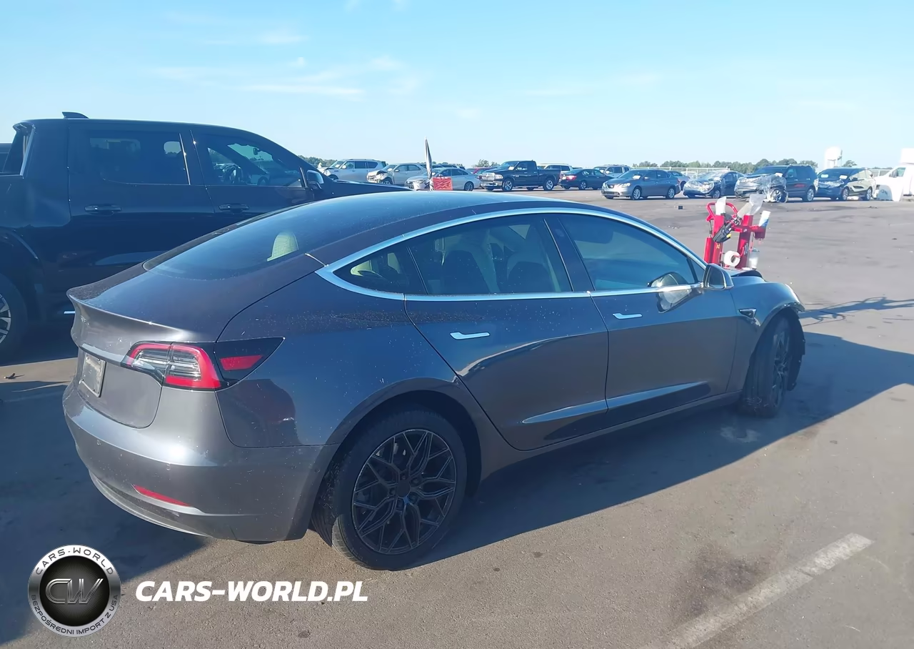 2020 Tesla Model 3 Standard Range Plus Rear-Wheel Drive-Standard Range Rear-Wheel Drive VIN:5YJ3E1EA8LF785802 - 4