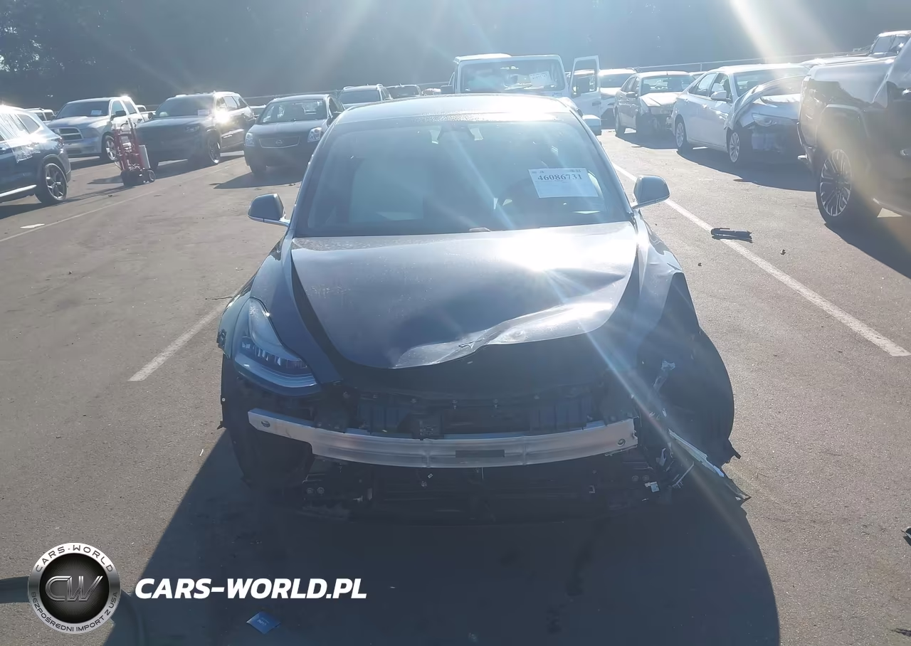 2020 Tesla Model 3 Standard Range Plus Rear-Wheel Drive-Standard Range Rear-Wheel Drive VIN:5YJ3E1EA8LF785802 - 6