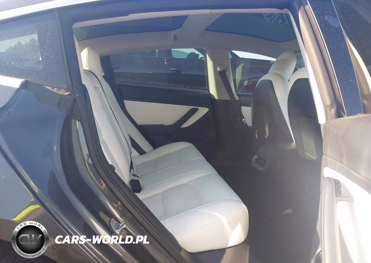 2020 Tesla Model 3 Standard Range Plus Rear-Wheel Drive-Standard Range Rear-Wheel Drive VIN:5YJ3E1EA8LF785802 - 8