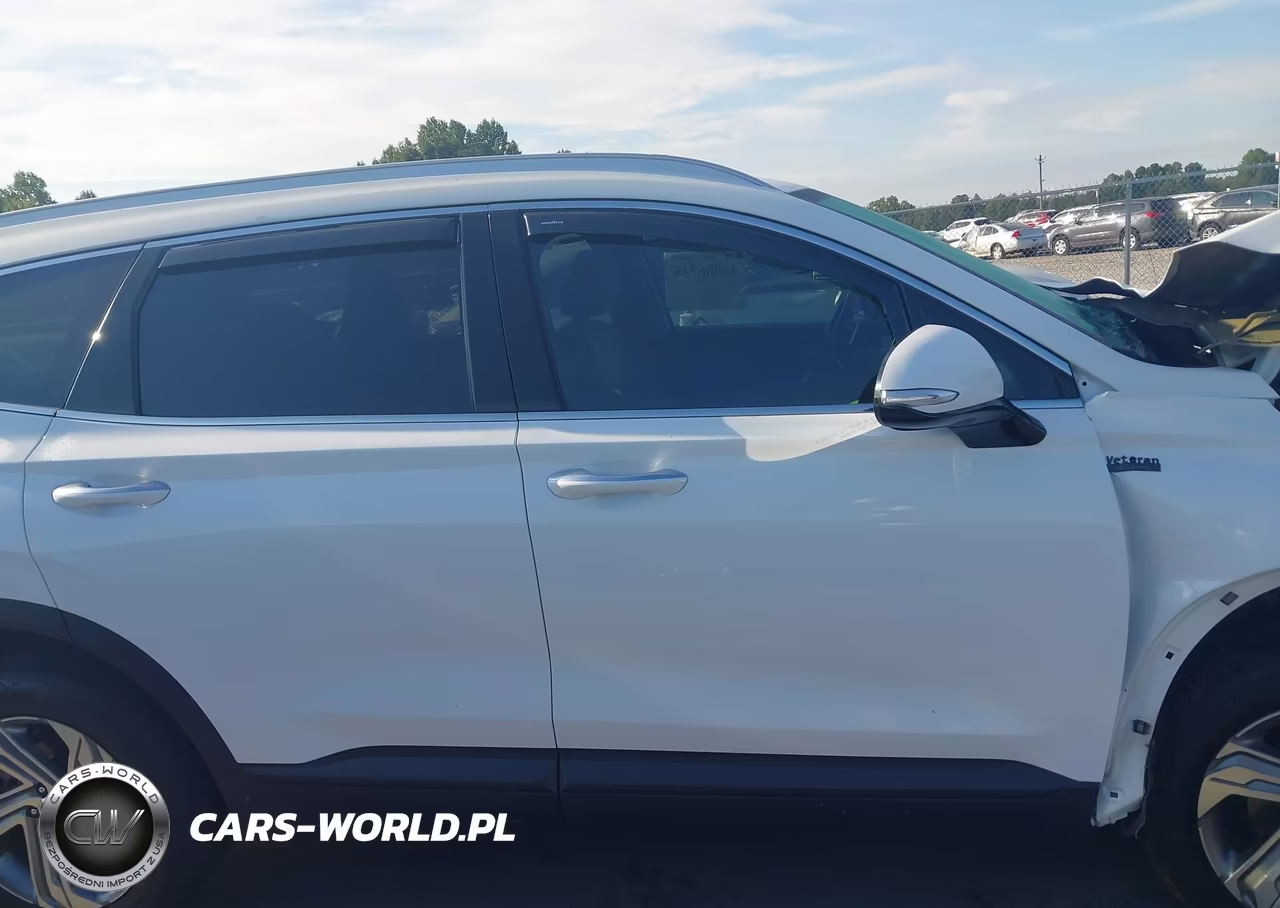 2023 Hyundai Santa Fe Sel VIN:5NMS2DAJXPH511095 - 13