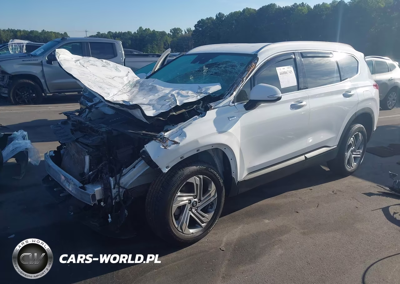 2023 Hyundai Santa Fe Sel VIN:5NMS2DAJXPH511095 - 2