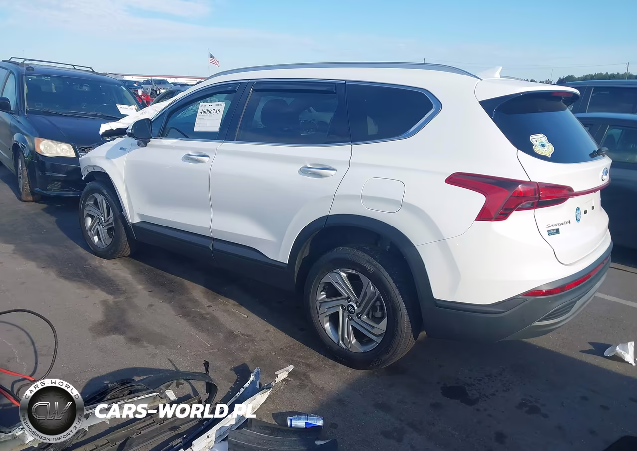2023 Hyundai Santa Fe Sel VIN:5NMS2DAJXPH511095 - 3