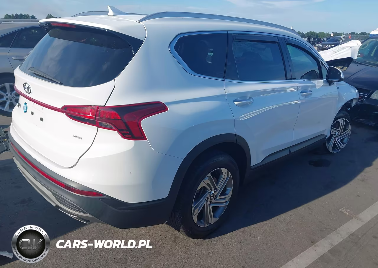 2023 Hyundai Santa Fe Sel VIN:5NMS2DAJXPH511095 - 4
